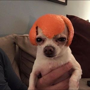 Meet your Posher, Ricardo